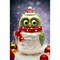 Christmas Owl: Cookie Jar Kitchen Storage Decoration Home décor for holiday